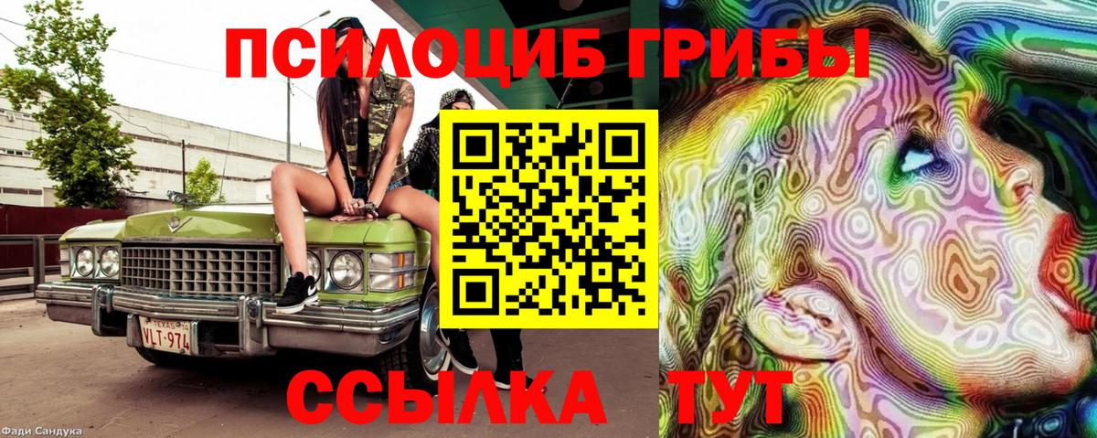 Псилоцибиновые грибы прущие грибы Сибай