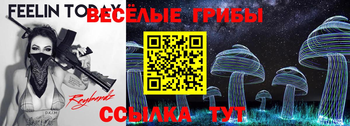 Галлюциногенные грибы GOLDEN TEACHER  купить закладку  Сибай  Галлюциногенные грибы мухоморы  Вход с VPN 